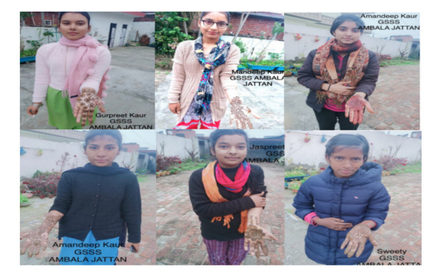 Read more about the article ਸਰਕਾਰੀ ਸੀਨੀਅਰ ਸੈਕੰਡਰੀ ਸਮਾਰਟ ਸਕੂਲ ਅੰਬਾਲਾ ਜੱਟਾਂ ਵਿਖੇ ਰਾਸ਼ਟਰੀ ਵੋਟਰ ਦਿਵਸ ਮਨਾਇਆ