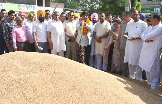 Read more about the article ਕਣਕ ਦੇ ਸੁੰਗੜੇ ਦਾਣਿਆਂ ਸਬੰਧੀ ਘਬਰਾਹਟ ਵਿਚ ਨਾ ਆਉਣ ਕਿਸਾਨ, ਪੰਜਾਬ ਸਰਕਾਰ ਕਿਸਾਨਾਂ ਦੇ ਨਾਲ ਮੋਢੇ ਨਾਲ ਮੋਢਾ ਜੋੜ ਕੇ ਖੜ੍ਹੀ ਹੈ : ਬ੍ਰਮ ਸ਼ੰਕਰ ਜਿੰਪਾ