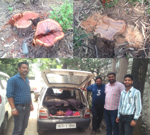 You are currently viewing ਖੈਰ ਦੀ ਨਜਾਇਜ ਕਟਾਨ ਕਰਦਿਆਂ ਖੈਰ ਮਾਫੀਆ ਗਿਰੋਹ ਨੂੰ ਜੰਗਲਾਤ ਵਿਭਾਗ ਨੇ ਖੁਫੀਆ ਸੂਚਨਾ ਮਿਲਣ ਤੇ ਦਬੋਚਿਆ,ਖੈਰ ਨਾਲ ਭਰੀ ਕਾਰ ਕੀਤੀ ਪੁਲਸ ਹਵਾਲੇ