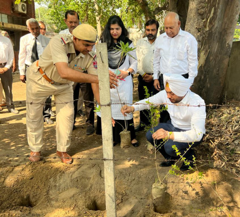 Read more about the article ਤਹਿਸੀਲ ਕੰਪਲੈਕਸ ‘ਚ ਵਾਤਾਵਰਣ ਨੂੰ ਸ਼ੁੱਧ ਬਣਾਉਣ ਲਈ ਲਗਾਏ ਪੌਦੇ