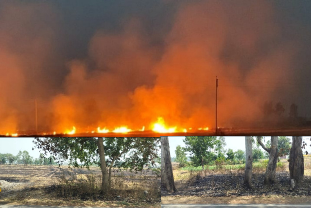 You are currently viewing STORY.. ਖੇਤਾਂ ‘ਚ ਕਣਕ ਦੀ ਨਾੜ ਨੂੰ ਧੱੜਲੇ ਨਾਲ ਲਾਈ ਜਾ ਰਹੀ ਅੱਗ ਪੰਜਾਬ ਸਰਕਾਰ ਵਾਤਾਵਰਣ ਦੀ ਸੁਰੱਖਿਆ ਕਰਨ ਵਿਚ ਬੁਰੀ ਤਰ੍ਹਾਂ ਫੇਲ੍ਹ ! 