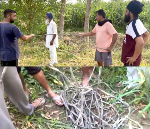 You are currently viewing LATEST.. ਚੋਰਾਂ ਨੇ ਪਿੰਡ ਤਲਵੰਡੀ ਦੇ ਕਿਸਾਨ ਦੀ ਮੋਟਰ ਨੂੰ ਲਾਈ ਸੰਨ੍ਹ, ਮੋਟਰ ਦੀ ਤਾਰ ਚੋਂ ਤਾਂਬਾ ਚੋਰੀ ਕਰਕੇ ਹੋਏ ਰਫੂਚੱਕਰ