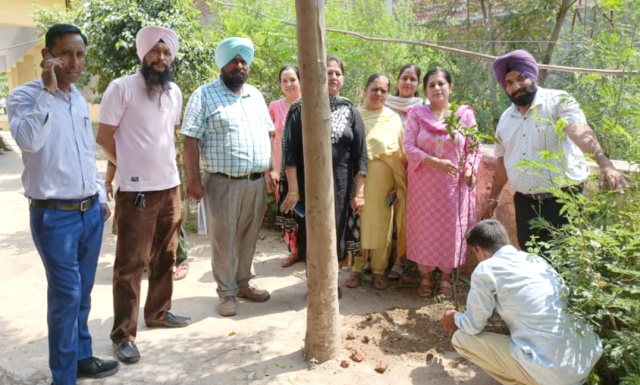 You are currently viewing ਵਾਤਾਵਰਨ ਨੂੰ ਸ਼ੁੱਧ ਬਣਾਉਣ ਲਈ ਜਿਥੇ ਵੀ ਜਗ੍ਹਾ ਖਾਲੀ ਮਿਲੇ ਪੌਦੇ ਲਗਾਓ :ਡਾ.ਬਿੰਦੂ ਗੁਪਤਾ