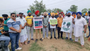 Read more about the article ਮੱਤੇਵਾੜਾ ਜੰਗਲ ਬਚਾਉਣ ਲਈ ਬੀੜ ਸੁਸਾਇਟੀ ਬਲਾਚੌਰ ਹਰ ਸੰਭਵ ਯਤਨ ਕਰੇਗੀ- ਅਮਨ ਵਰਮਾ