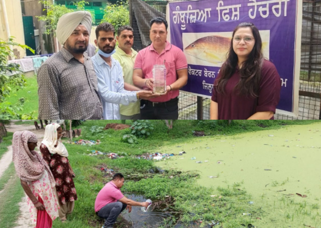 You are currently viewing कम्युनिटी हेल्थ सेंटर घरोटा के अधीन पड़ते गांव स्थित तालाबों में गमभुजिया मछलियां छोड़ी गई