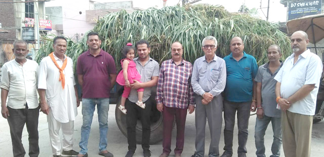 You are currently viewing गौ प्रेमी रमेश महाजन द्वारा गोपाल धाम गौशाला को भेंट किया गया ट्रॉली चारा 