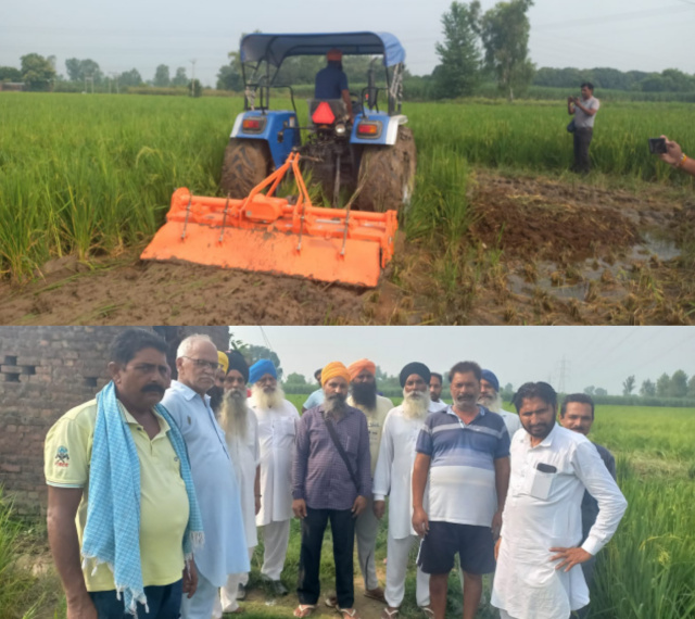 Read more about the article धान की फसल के पौधे बौने ही रहने के कारण किसानों…..