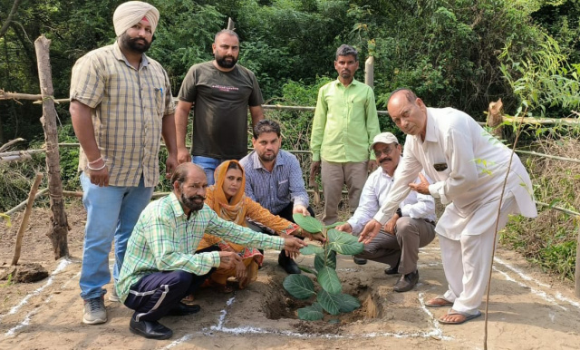 You are currently viewing ਵੱਧ ਤੋਂ ਵੱਧ ਬੂਟੇ ਲਗਾ ਕੇ ਵਾਤਾਵਰਨ ਨੂੰ ਸ਼ੁੱਧ ਤੇ ਸਾਫ….