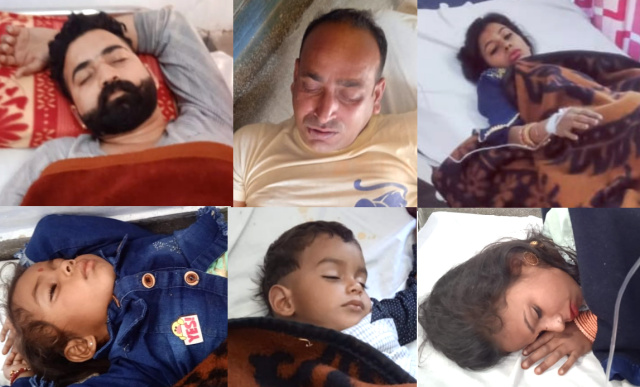 Read more about the article ਮਧੂਮੱਖੀਆਂ ਨੇ ਲਾੜੇ ਸਮੇਤ 7 ਲੋਕਾਂ ਨੂੰ ਡੰਗਿਆ 