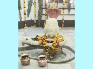 Read more about the article गढ़दीवाला..शिवरात्रि के उपलक्ष में विशाल शोभायात्रा आज