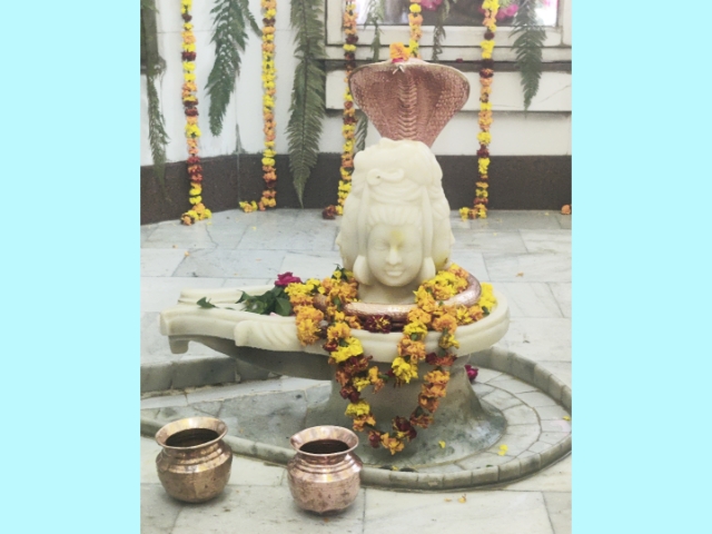 You are currently viewing गढ़दीवाला..शिवरात्रि के उपलक्ष में विशाल शोभायात्रा आज