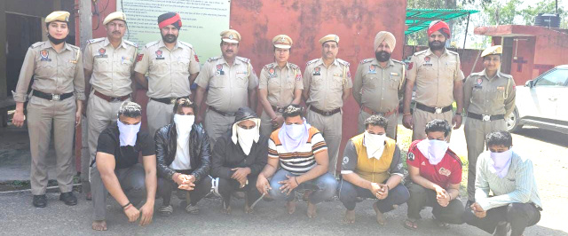 You are currently viewing पठानकोट पुलिस ने उपद्रवी तत्वों पर कसा शिकंजा