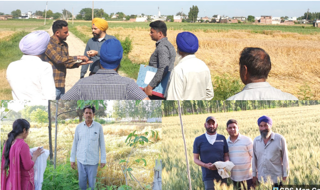 You are currently viewing ਸਬ ਤਹਿਸੀਲ ਗੜਦੀਵਾਲਾ ਦੇ ਵੱਖ ਵੱਖ ਪਿੰਡਾਂ ਵਿਚ ਬੇਮੌਸਮੀ ਬਾਰਿਸ਼ ਨਾਲ ਹੋਏ ਨੁਕਸਾਨ ਦਾ ਵਿਭਾਗ ਨੇ ਲਿਆ ਜਾਇਜ਼ਾ