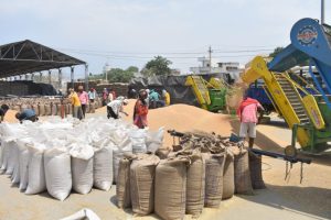 Read more about the article ਜ਼ਿਲ੍ਹੇ ਦੀਆਂ ਮੰਡੀਆਂ ’ਚ ਹੁਣ ਤੱਕ ਹੋਈ 231503 ਮੀਟ੍ਰਿਕ ਟਨ ਕਣਕ ਦੀ ਖਰੀਦ : ਡਿਪਟੀ ਕਮਿਸ਼ਨਰ