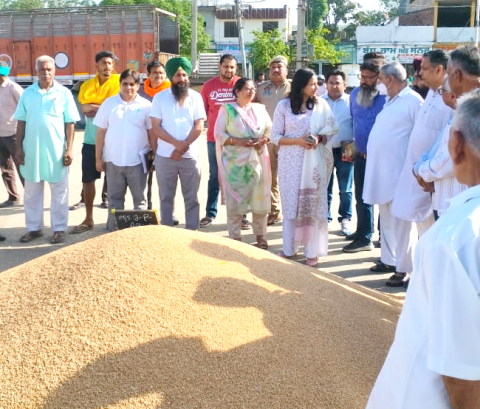 You are currently viewing ਡਿਪਟੀ ਕਮਿਸ਼ਨਰ ਨੇ ਦਾਣਾ ਮੰਡੀ ਹੁਸ਼ਿਆਰਪੁਰ ’ਚ ਕਣਕ ਦੀ ਖ਼ਰੀਦ ਦਾ ਲਿਆ ਜਾਇਜ਼ਾ