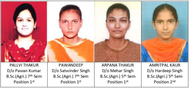 You are currently viewing ਕੇ.ਐਮ.ਐਸ ਕਾਲਜ ਦੇ ਬੀ.ਐਸ.ਸੀ ਐਗਰੀਕਲਚਰ ਦਾ ਨਤੀਜਾ ਸ਼ਾਨਦਾਰ ਰਿਹਾ – ਐਚ.ਓ.ਡੀ ਡਾ.ਰਾਜੇਸ਼ ਕੁਮਾਰ