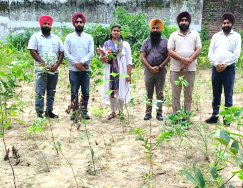 Read more about the article ਖ਼ਾਲਸਾ ਕਾਲਜ ‘ਚ ਜੰਗਲਾਤ ਮਹਕਿਮੇ ਦੁਆਰਾ ‘ਗੁਰੂ ਨਾਨਕ ਬਗੀਚੀ’ ਲਗਾਈ ਗਈ
