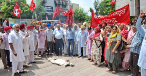 Read more about the article ਸੀ ਪੀ ਆਈ (ਐਮ) ਵੱਲੋਂ ਹੀਰੋਸ਼ੀਮਾ ਤੇ ਨਾਗਾ ਸਾਕੀ ਚ ਅਮਰੀਕਾ ਵੱਲੋਂ ਸੁੱਟੇ ਪਰਮਾਣੂ ਬੰਬਾ ਕਾਰਨ ਮਾਰੇ ਗਏ ਲੋਕਾਂ ਨੂੰ ਸ਼ਰਧਾਂਜਲੀ