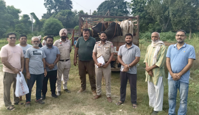 You are currently viewing दसूहा में दीक्षित गोशाला के सदस्यों ने गोवंश से लदा ट्रक पकड़ा, चालक गऊ तस्कर ट्रक छोकर भागे