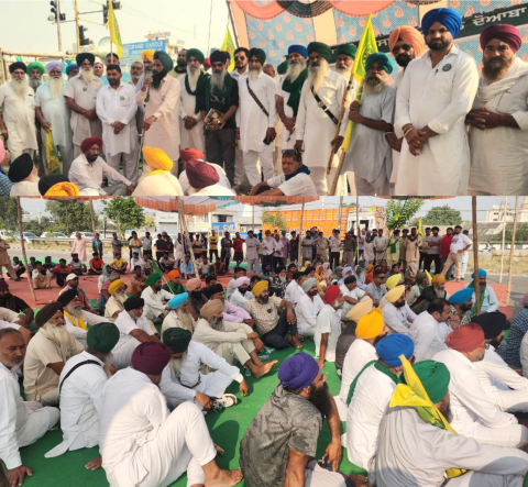 You are currently viewing ਕਿਸਾਨਾਂ ਵੱਲੋਂ ਝੋਨੇ ਦੀ ਸਰਕਾਰੀ ਖਰੀਦ ਨਾ ਹੋਣ ਦੇ ਰੋਸ ਵਜੋਂ ਗੰਨਾ ਮਿਲ ਚੌਂਕ ‘ਚ ਲਗਾਇਆ ਧਰਨਾ