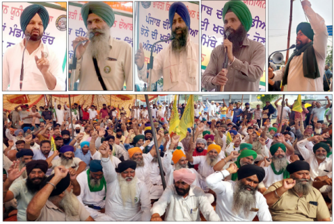 You are currently viewing ਭਾਰਤੀ ਕਿਸਾਨ ਯੂਨੀਅਨ ਦੋਆਬਾ ਨੇ ਝੋਨੇ ਦੀ ਖਰੀਦ ਦੇ ਪੁਖ਼ਤਾ ਪ੍ਰਬੰਧ ਨਾ ਹੋਣ ਦੇ ਰੋਸ ਵਜੋਂ ਲਾਇਆ ਧਰਨਾ