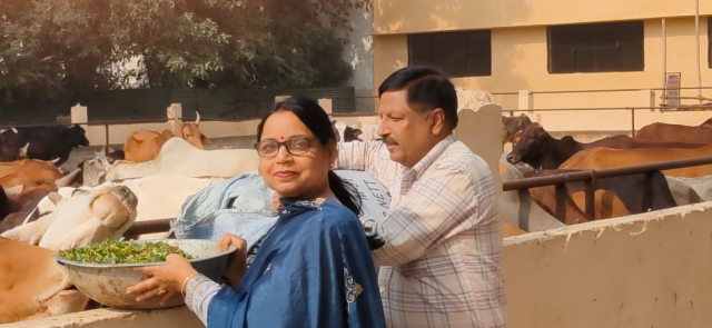 You are currently viewing ਗਊ ਪੂਜਨ ਅਤੇ ਪੌਦਾ ਲਗਾ ਕੇ ਰੇਨੂ ਅਰੋੜਾ ਨੇ ਮਨਾਇਆ ਆਪਣਾ ਜਨਮਦਿਨ, ਵਾਤਾਵਰਣ ਦੀ ਸੰਭਾਲ ਦਾ ਦਿੱਤਾ ਸੰਦੇਸ਼