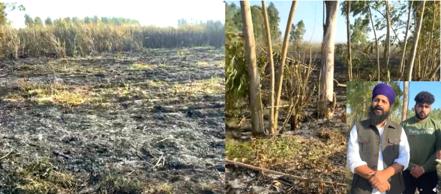 You are currently viewing ਸ਼ਾਟ ਸਰਕਟ ਹੋਣ ਨਾਲ ਲੱਗੀ ਭਿਆਨਕ ਅੱਗ, 5 ਏਕੜ ਕਮਾਦ ਸੜ ਕੇ ਹੋਇਆ ਸੁਆਹ