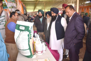 Read more about the article ਪੰਜਾਬ ਸਰਕਾਰ ਮਧੂ ਮੱਖੀ ਪਾਲਣ ਦੇ ਧੰਦੇ ਨੂੰ ਹੁਲਾਰਾ ਦੇਣ ਲਈ ਵਚਨਬੱਧ : ਜਸਵੀਰ ਸਿੰਘ ਰਾਜਾ ਗਿੱਲ