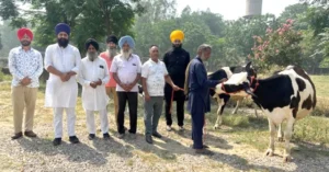 Read more about the article ਸਰਬੱਤ ਦਾ ਭਲਾ ਸੇਵਾ ਸੋਸਾਇਟੀ ਮੂਨਕਾਂ ਵਲੋਂ 2 ਦੁਧਾਰੂ ਗਾਵਾਂ ਕੀਤੀਆਂ ਦਾਨ