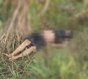 Read more about the article ਭੇਦਭਰੇ ਹਲਾਤਾਂ ਚ ਖੇਤਾਂ ਚੋਂ ਮਿਲੀ ਨੌਜਵਾਨ ਦੀ ਮਿਲੀ ਲਾ+ਸ਼,ਪੁਲਿਸ ਜਾਂਚ ਵਿੱਚ ਜੁੱਟੀ