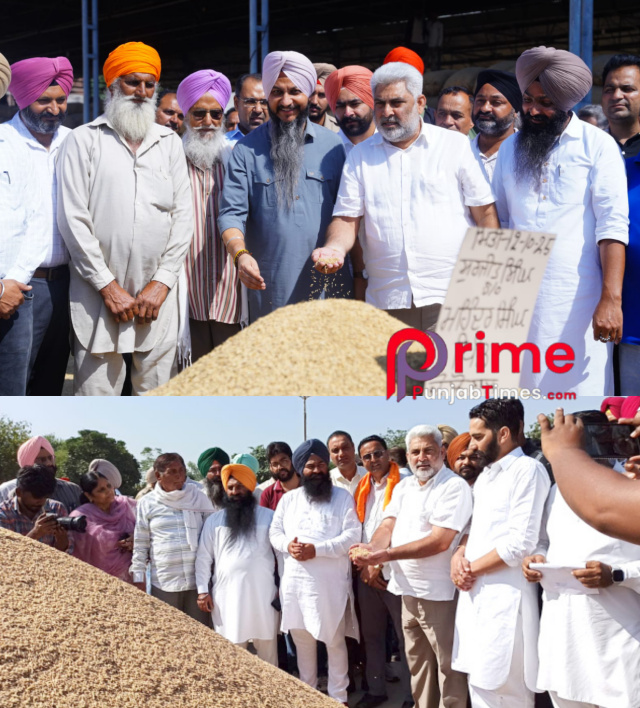 You are currently viewing ਕੈਬਨਿਟ ਮੰਤਰੀ ਲਾਲ ਚੰਦ ਕਟਾਰੂਚੱਕ ਨੇ ਦਸੂਹਾ ਅਤੇ ਟਾਂਡਾ ਮੰਡੀਆਂ ‘ਚ ਖ਼ਰੀਦ ਪ੍ਰਬੰਧਾਂ ਦਾ ਲਿਆ ਜਾਇਜ਼ਾ