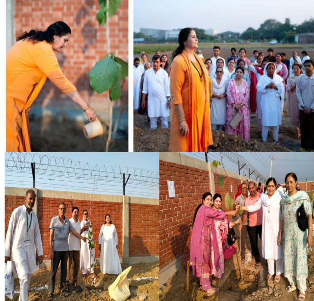 Read more about the article गन्नौर आश्रम में पूजनीय आनंद मूर्ति गुरु माँ जी के पावन सान्निध्य में शाम के अवसर पर पौधारोपण कार्यक्रम संपन्न