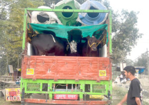 Read more about the article 12 पशुओं से भरे हुए ट्रक को पकड़ा दो गिरफ्तार,पुलिस ने किया मामला दर्ज